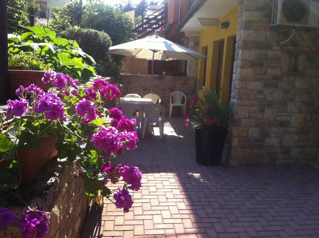 Apartment Sincic Novigrad Istria المظهر الخارجي الصورة