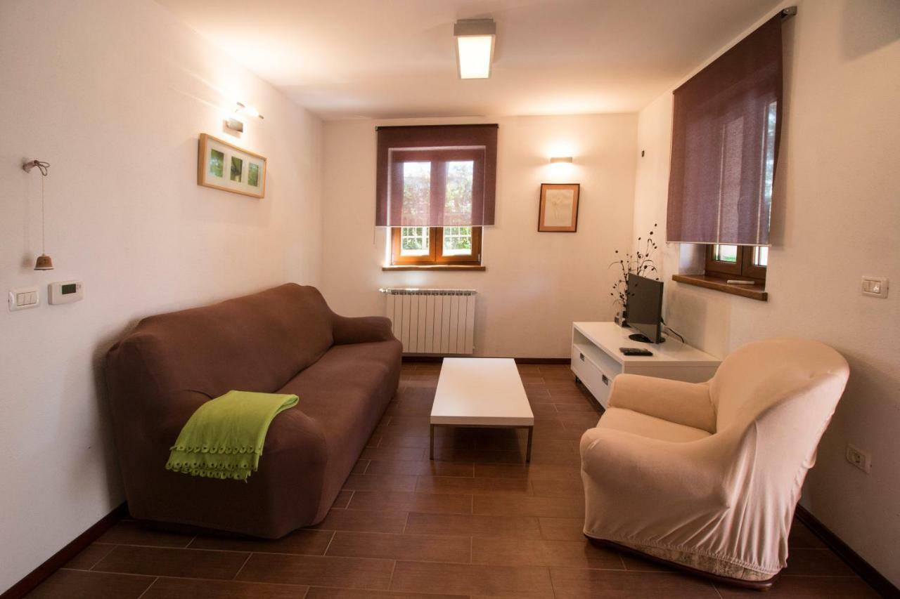 Apartment Sincic Novigrad Istria المظهر الخارجي الصورة